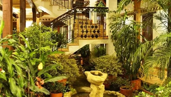 Matas y plantas del hotel